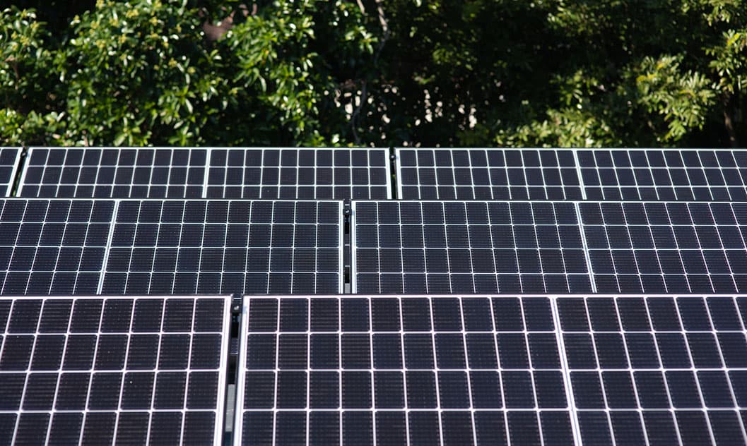 About Neuton Power