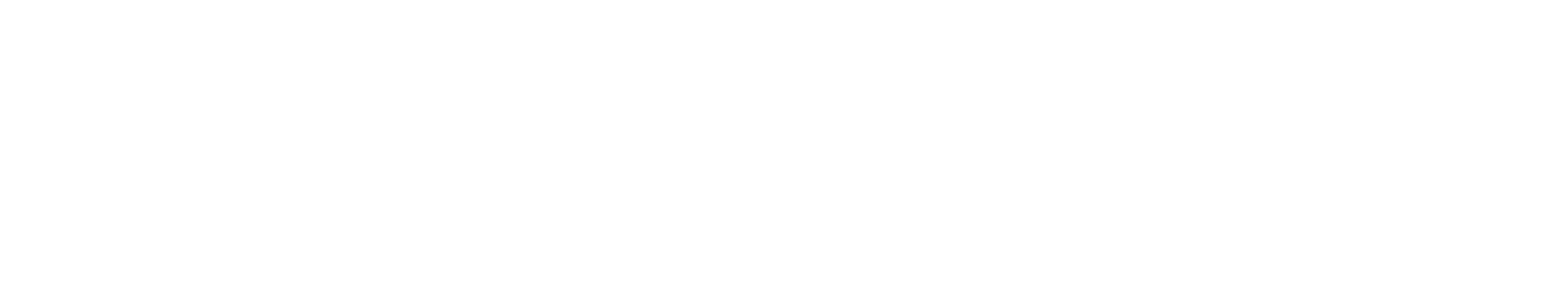 About Vision